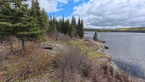 Campsite 1263