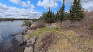 Campsite 1263