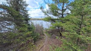 Campsite 1267