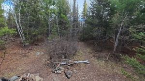 Campsite 1267