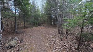 Campsite 1267