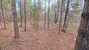 Campsite 1267