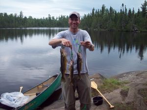 Walleyes
