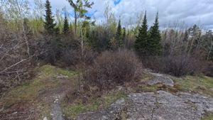 Campsite 1268