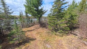 Campsite 1268
