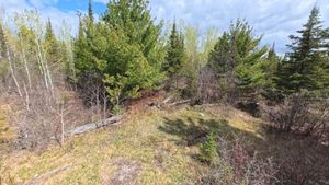 Campsite 1269
