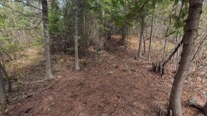 Campsite 1270