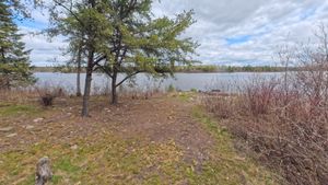 Campsite 1273