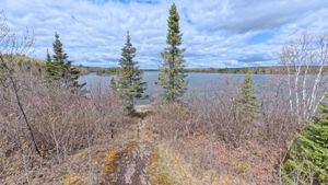 Campsite 1272