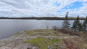 Campsite 1229