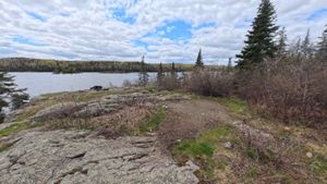 Campsite 1229