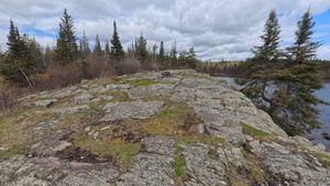 Campsite 1229
