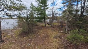 Campsite 1229