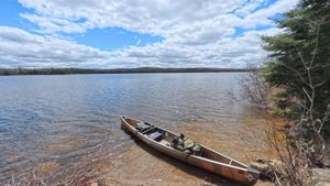 Campsite 1231