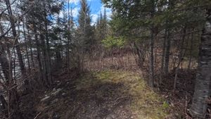 Campsite 1231