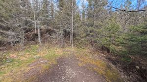 Campsite 1231