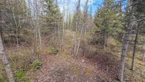 Campsite 1231