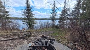 Campsite 1231