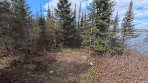 Campsite 1214