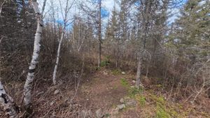 Campsite 1214