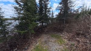 Campsite 1214