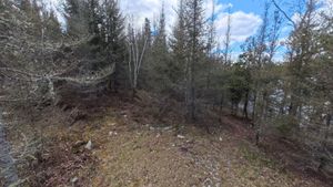 Campsite 1214