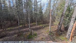 Campsite 1213