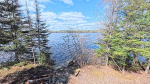 Campsite 1216
