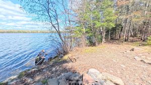 Campsite 1216
