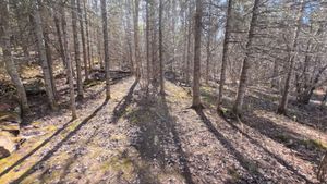 Campsite 1216