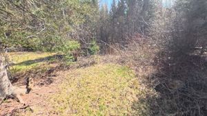 Campsite 1216