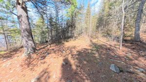 Campsite 1217
