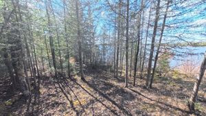 Campsite 1217