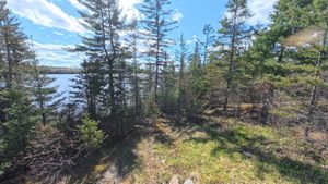 Campsite 1218