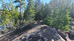 Campsite 1960
