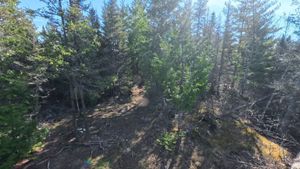 Campsite 1960
