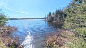 Portage 392