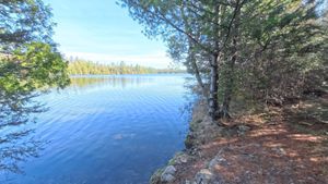 Portage 392