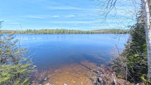 Portage 420