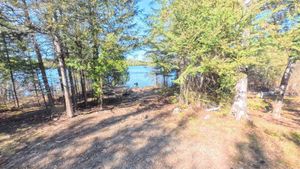 Campsite 2044