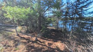 Campsite 2044