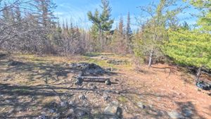 Campsite 2045