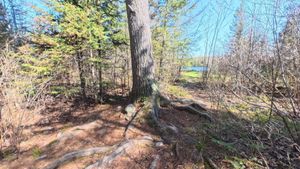 Campsite 2045