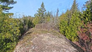 On Cliff on Explorer Lake