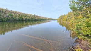 Portage 407