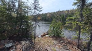 Campsite 2318