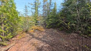 Campsite 2318