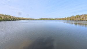 Campsite 2318