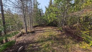 Campsite 1237
