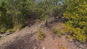Campsite 1257